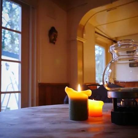 Cosy In The Woods - With Whirlpool, Piano & Fireplace