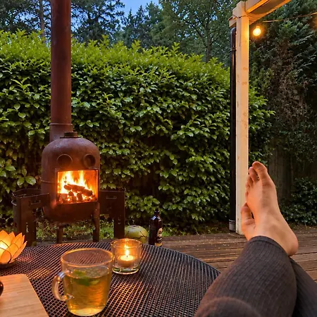 Cosy In The Woods - With Whirlpool, Piano & Fireplace Chalet
